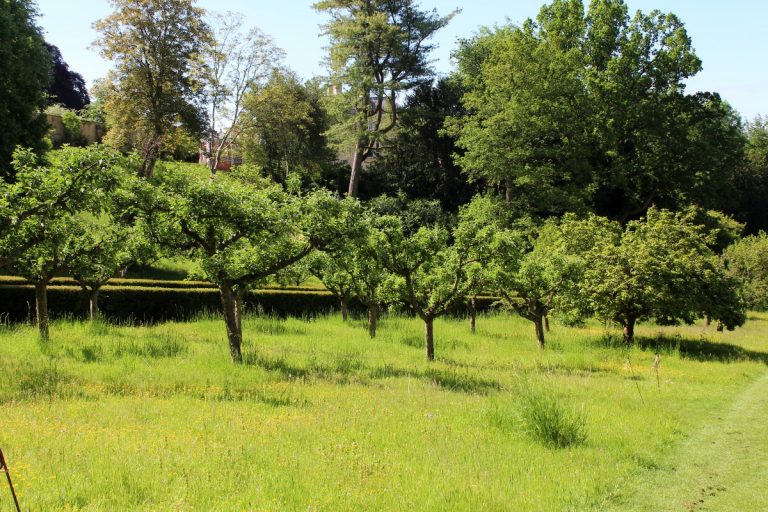 Seeing Out 2023 & Fruit-Growing Plans for 2024