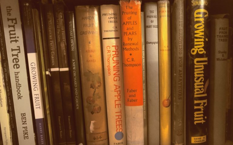 A Few Notes On the Quiet Joy of Fruit-Bookish Ephemera