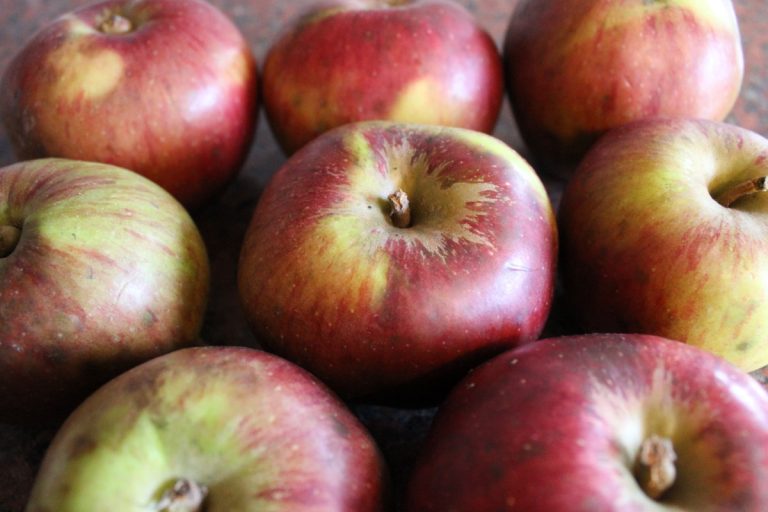 The Beefing Apples Story, Part Two, is Now Live