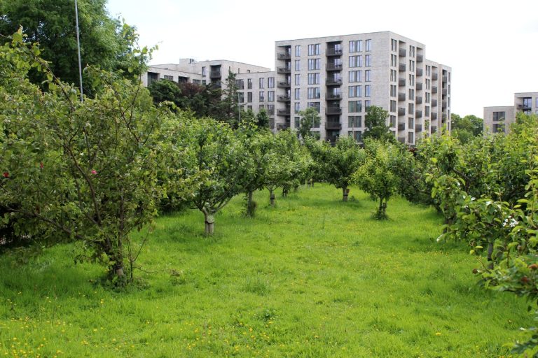 Orchard Visit: Airfield Estate, Dundrum, Dublin