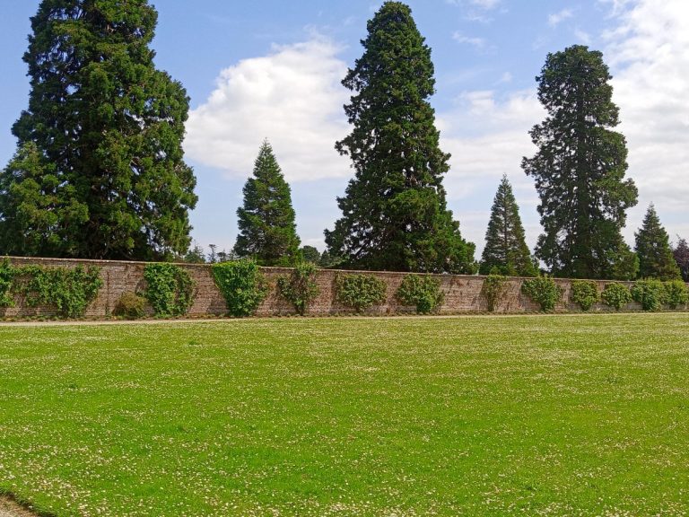 Orchard Visit: Powerscourt Estate, Enniskerry, Co. Wicklow