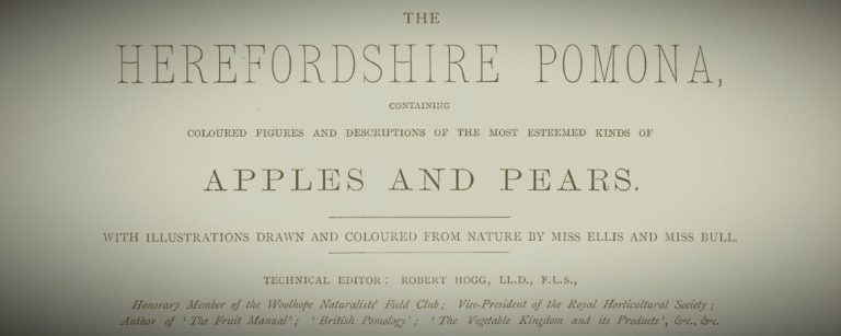 The Latest Part of the ‘Beefing’ Apples Story is Now Live