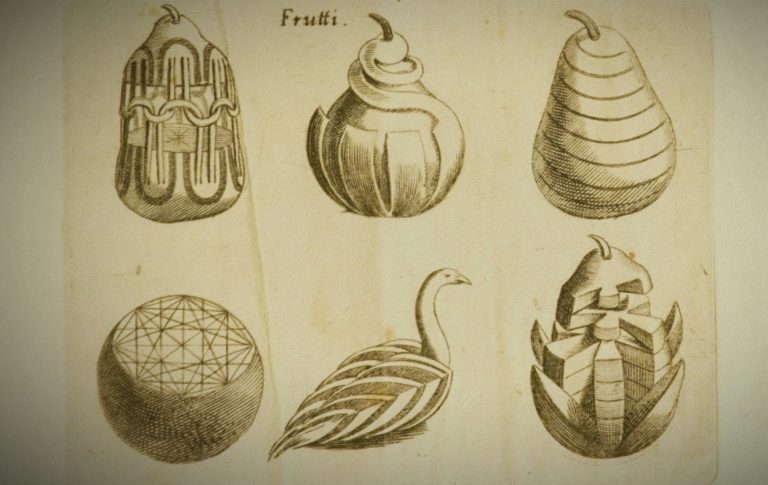 Six examples of fruit carving patterns from a C17th carving manual